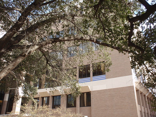 Tree and Library