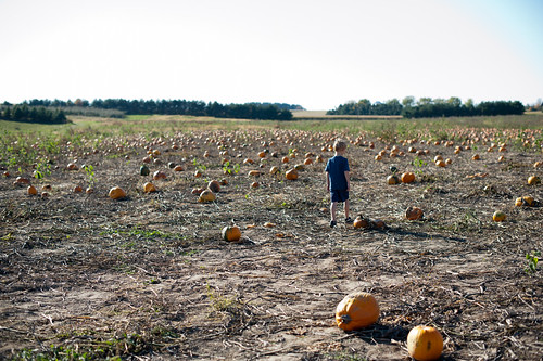 10-08-11_pumpkin-patch_026