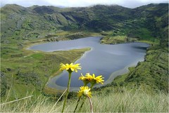 Laguna Alforjacocha