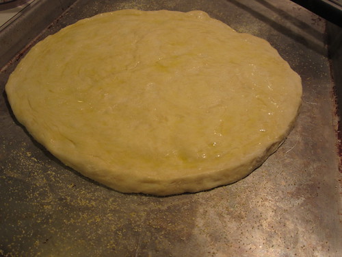 oiled dough on a cornmeal-sprinkled baking sheet