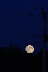 Moon and Wires DSC_4553 by Mully410 * Images