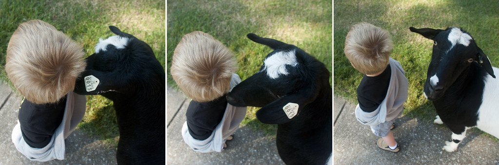 Cayden&Goat