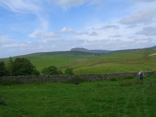 Ribblesdale 290711 067