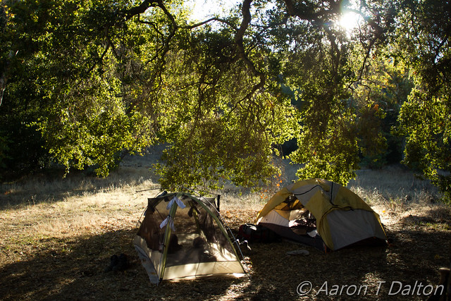 Tents by Morning Sun