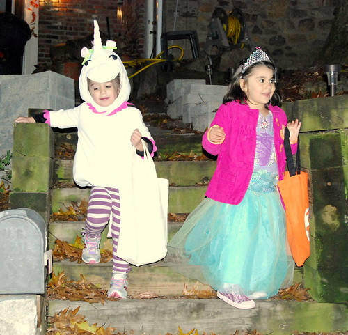 A Unicorn and a Princess Were Walking in the Neighborhood