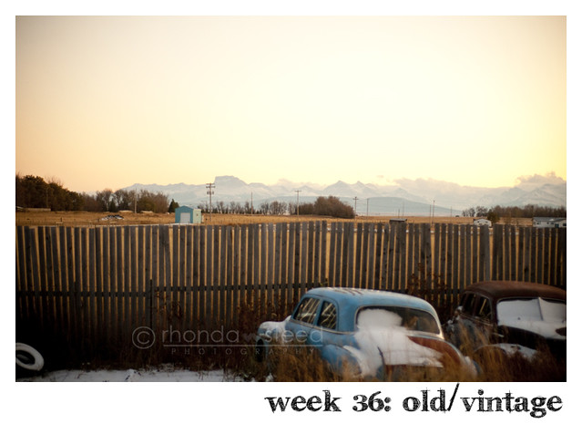 week 36: old vintage