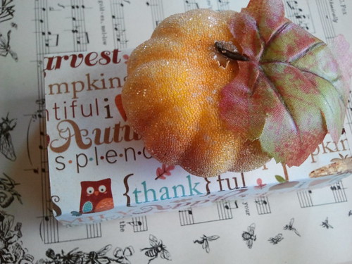 Pumpkin Petite Inspiration Box from Stevie