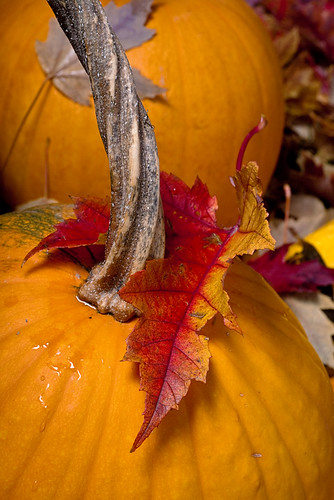 Pumpkin with an autumn maple leaf on it