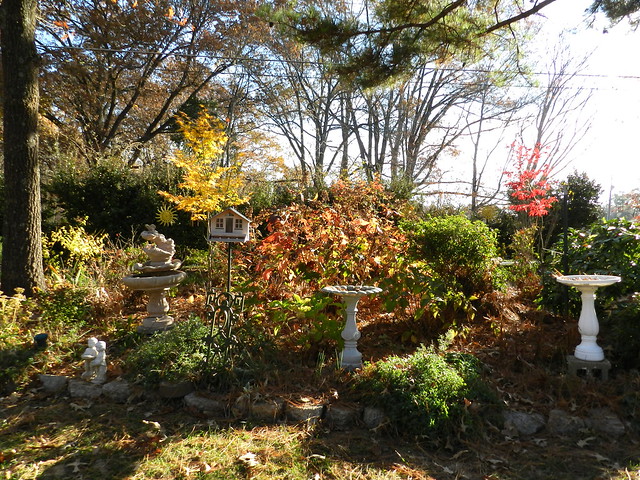November Garden 128