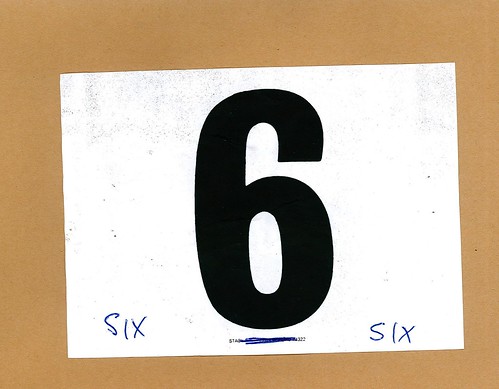 Race number 6
