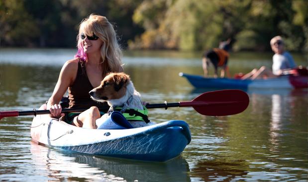 Dog kayaking
