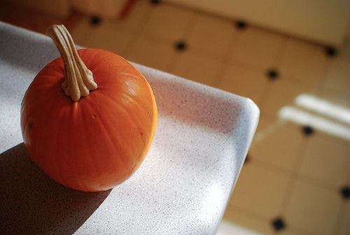 pumpkin-0089