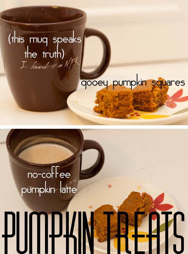 Pumpkin Treats