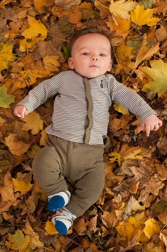 Waylon in the leaves