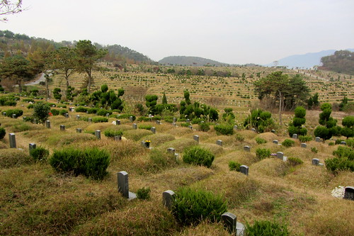 graveyard01