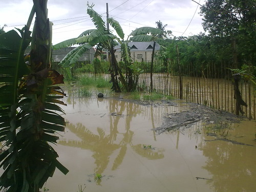 Mindanao St. - typhoon Pedring -4