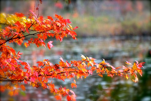 Autumn NH Pond by jennymcb