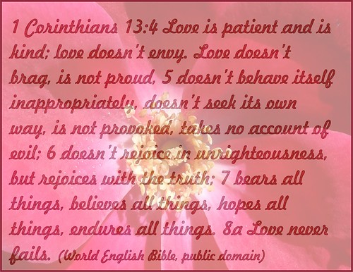 1 Corinthians 13 behind rose, excerpt