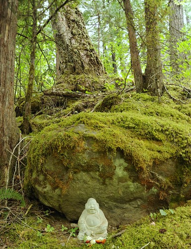 Forest meditator with flower offerings, under mossy rock, Breitenbush Hot Springs, Breitenbush, Marion County, Oregon, USA by Wonderlane