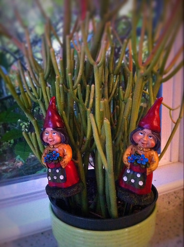 The couple that gnomes together...