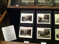 Display Case 5 - Revisiting the Landscape Masters