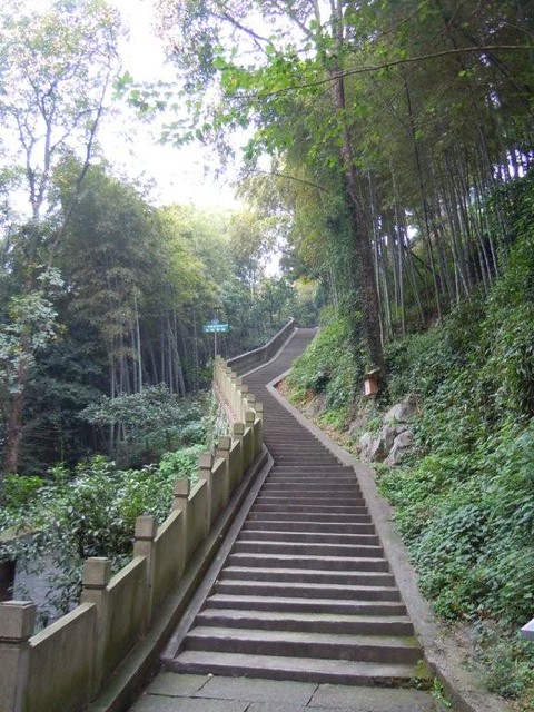 竹林石阶