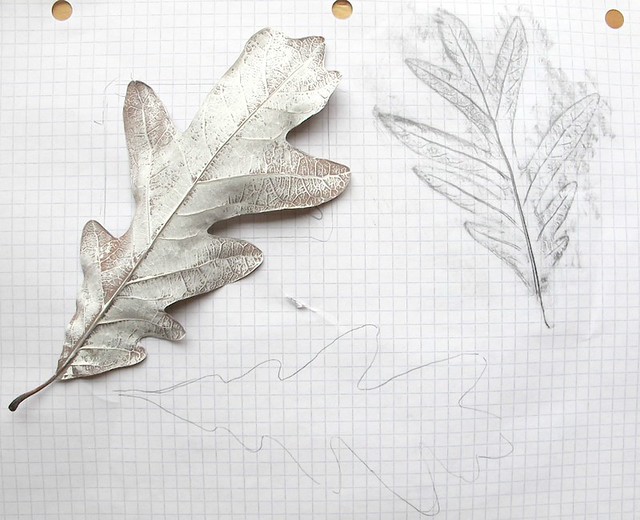 leaf experiments