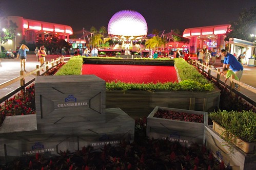 Cranberry bog and Spaceship Earth