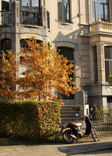 Autumn in Antwerp