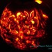 Megumi Matsuki Owly pumpkin 2011 • <a style="font-size:0.8em;" href="//www.flickr.com/photos/25943734@N06/6299789306/" target="_blank">View on Flickr</a>