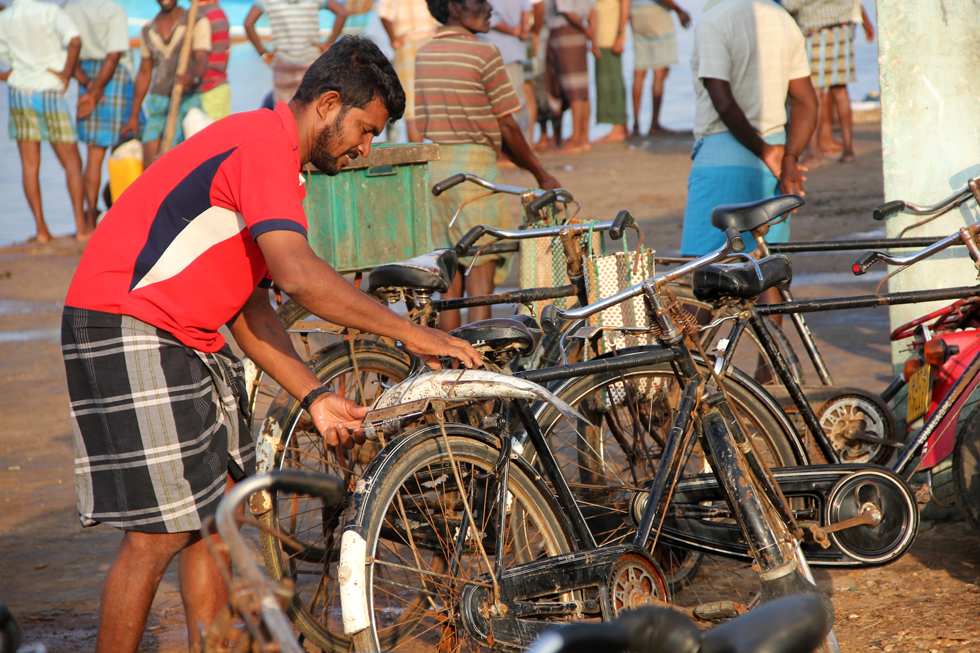 Jaffna Fish Market