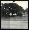 The Grassy Knoll (Back And To The Left)