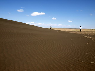 Tanzania - Serengeti - Shifting Sands