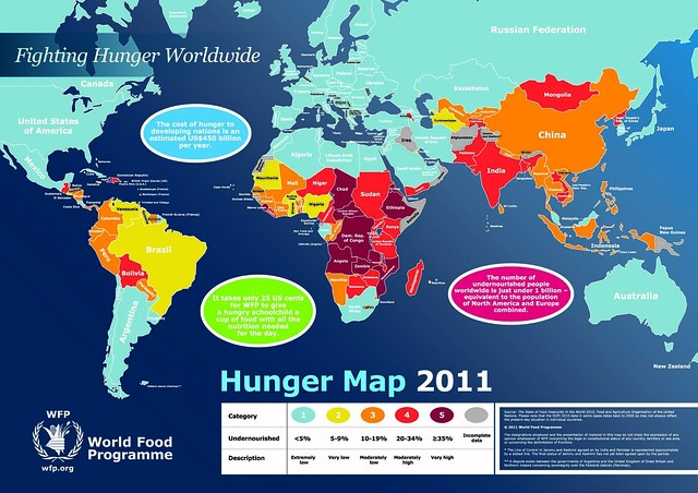 World Hunger Map 2011