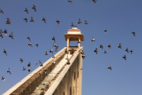 Jantar Mantar with birds 2