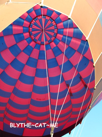 土耳其熱氣球 (11)