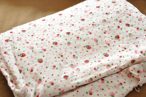 strawberry fabric
