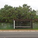 BRASILIA LAGO NORTE LIXOCULTURAL SONORO 1NOV2011 042