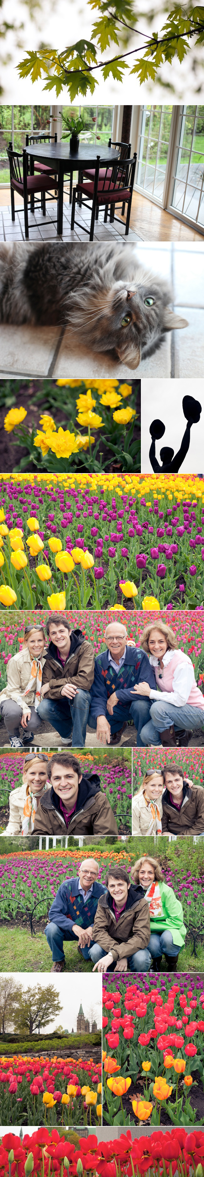 ottawa-tulip-festival-tt