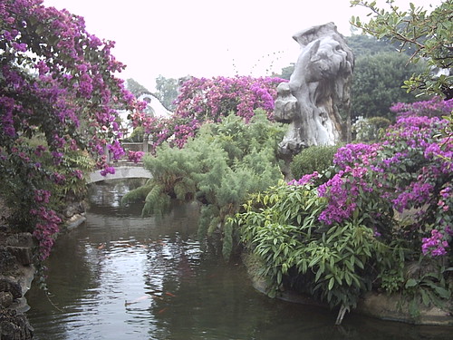 Garden at Huanguoshu waterfall by hallucygenia
