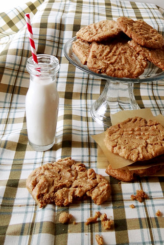cinnnamon raisin peanut butter cookies