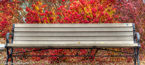 Du rouge et un banc de parc / Some Red And A Park Bench by guysamsonphoto