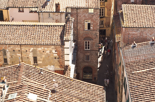 Looking down on Lucca by BeccaG