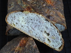 Basic Sourdough with Walnuts and Asiago