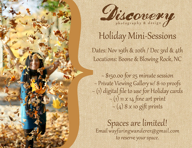 Holiday Mini-Sessions | Boone Area Photographer