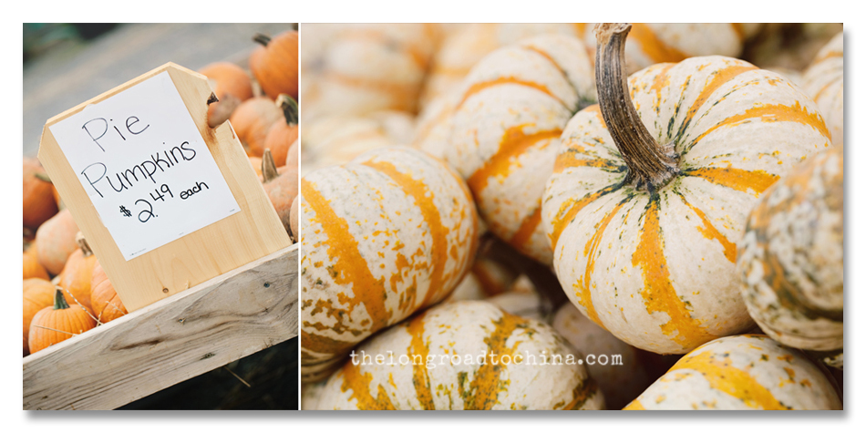 Pumpkin Carts Collage