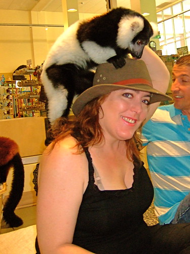 Jungle Island, Miami lemur experience