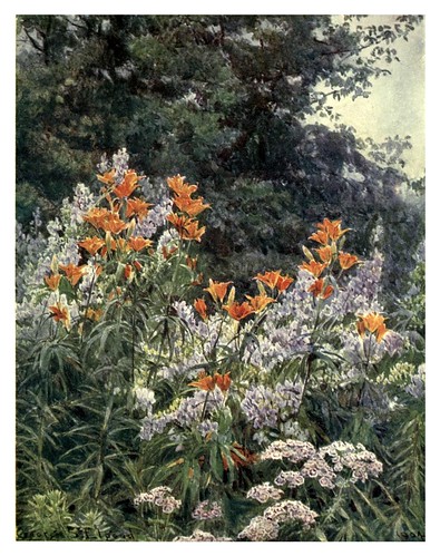 002-Lirio naranja y aconito-The garden that I love-1906-George S. Elgood