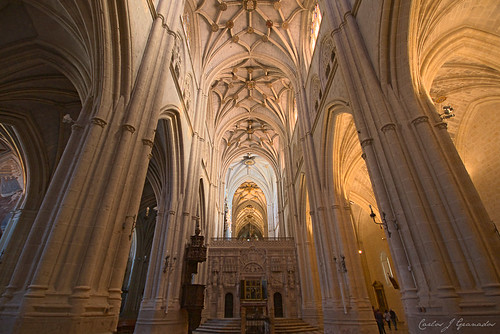 Catedral de Palencia by Carlos_JG