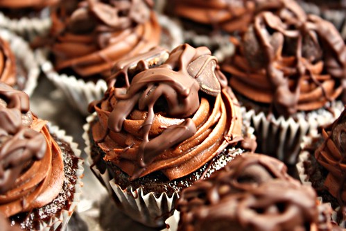 Chocolate Wasted Mini Cupcakes